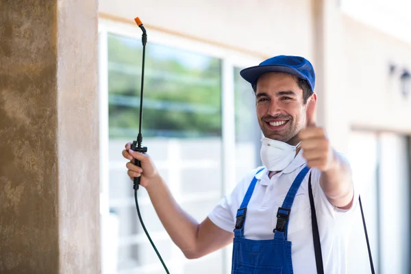 Laguna Hills Wasp Removal
