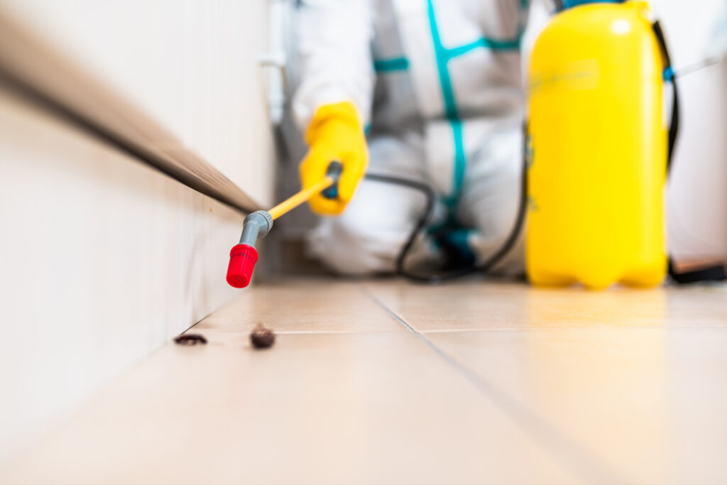 Laguna Hills Cockroach Experts