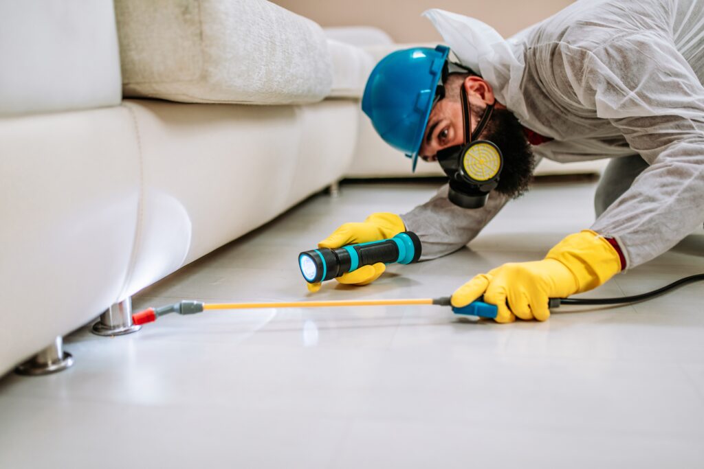 Laguna Hills Termite Control