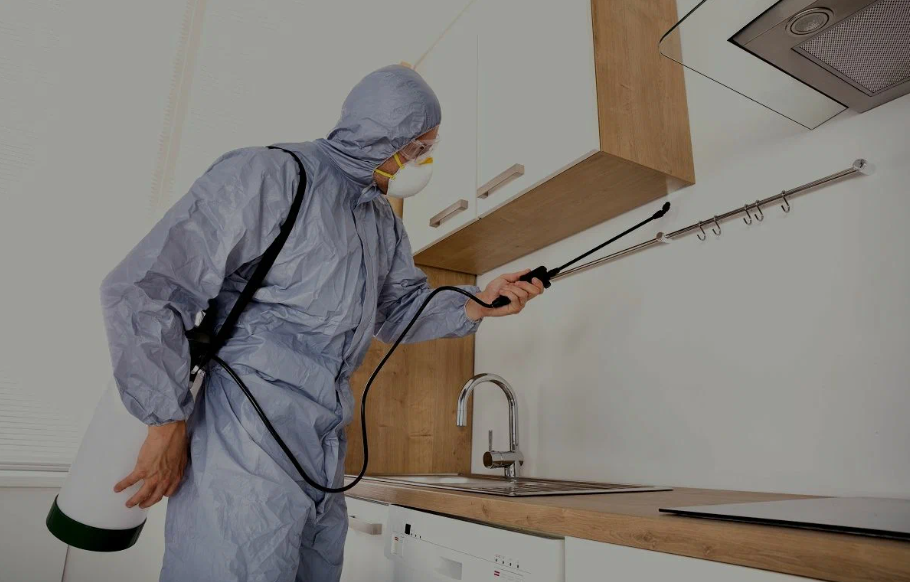Laguna Hills pest managment